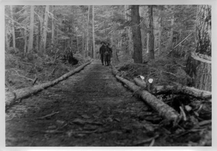 Photographic Print