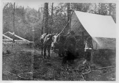 Photographic Print
