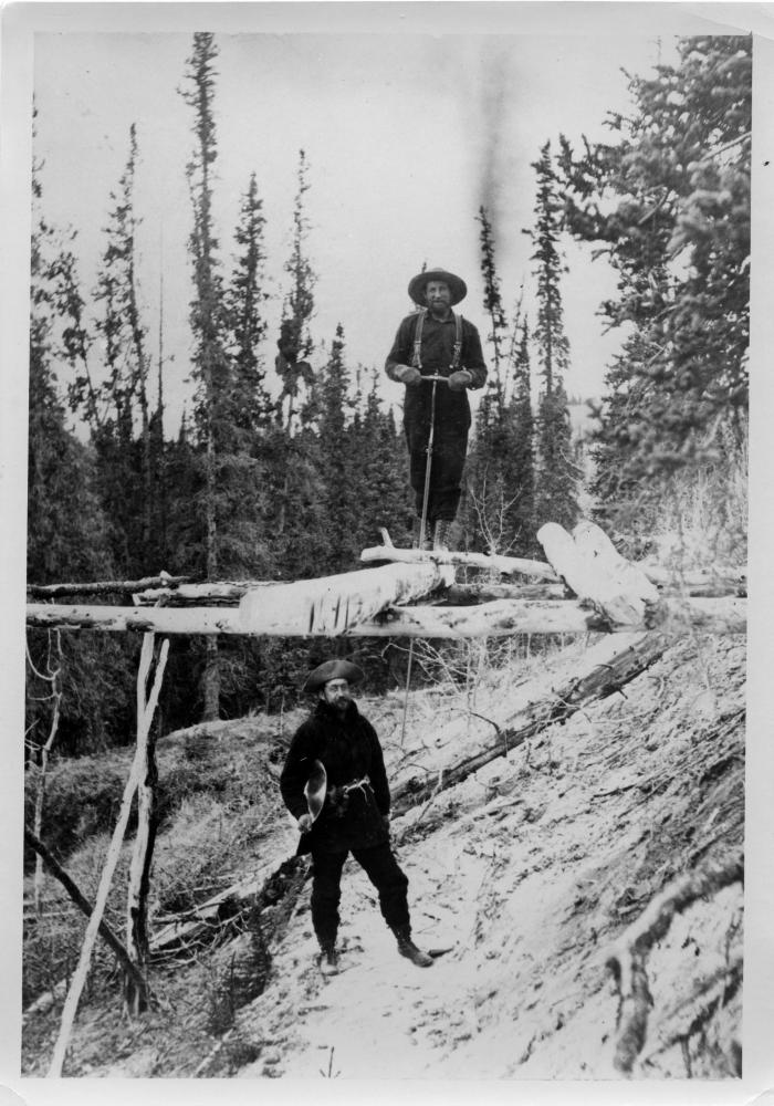 Photographic Print