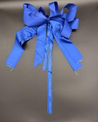 Promotional Ribbon
